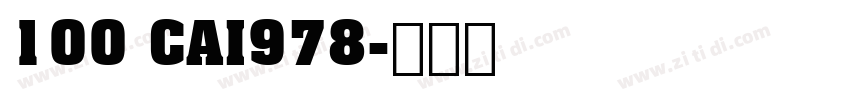 100 CAI978字体转换
